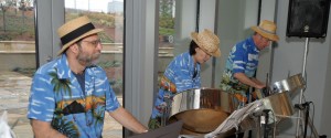 Steel Drums Cropped